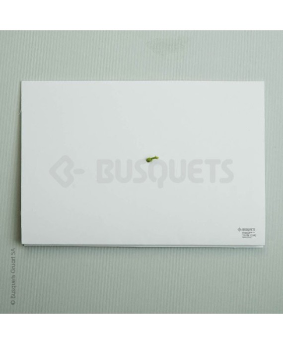 Invitación de Boda Romeo