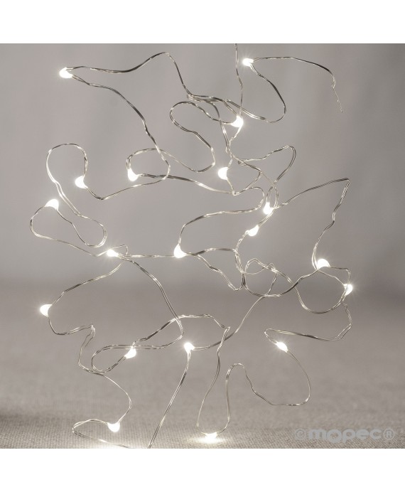Guirnalda 250cm de 20 Luces LED