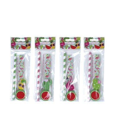 Set 4 pcs papelería tropical exotic