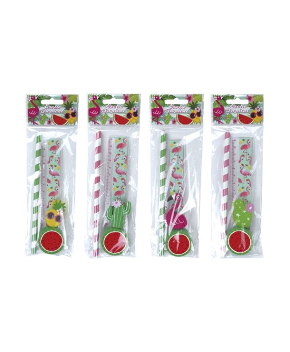 Set 4 pcs papelería tropical exotic