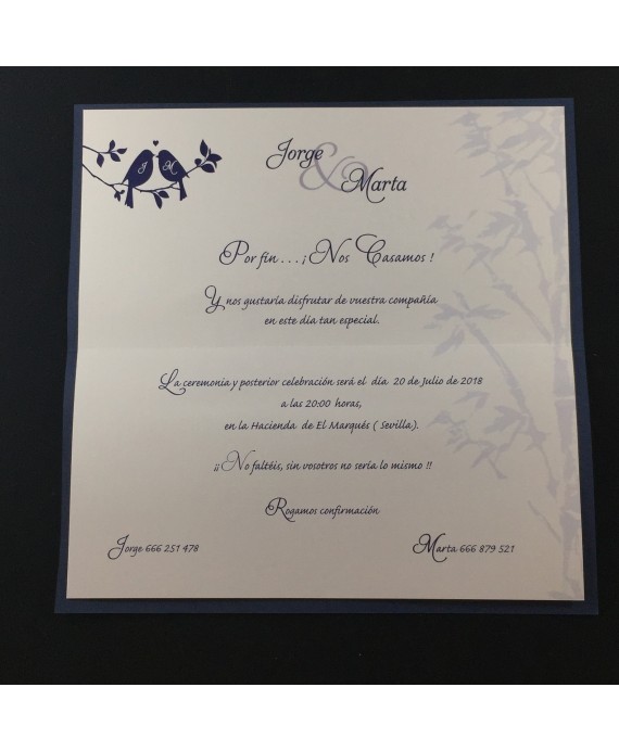 Invitacion de Boda nombres laser portada y pajaritos