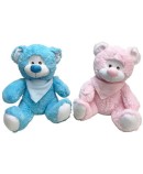 oso-peluche-panuelo-azul