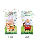 set-12-cajas-animales-selva