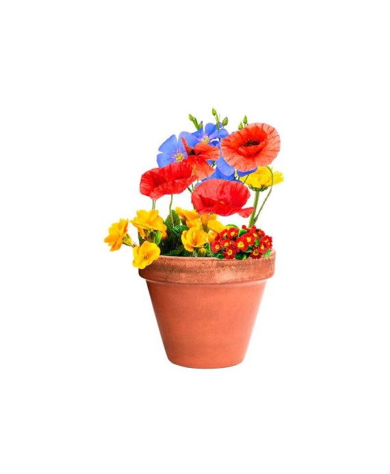 bombón-de-semillas-eco-gracias-por-venir