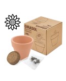 maceta-terracota-con-semillas-de-girasol-petunia-pensa