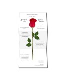 Invitacion de boda rosa roja