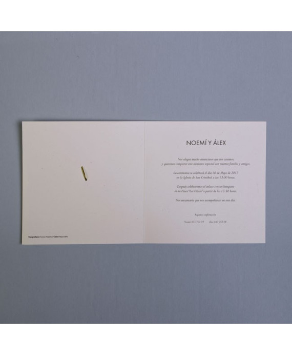 Invitación de boda mariposa portada