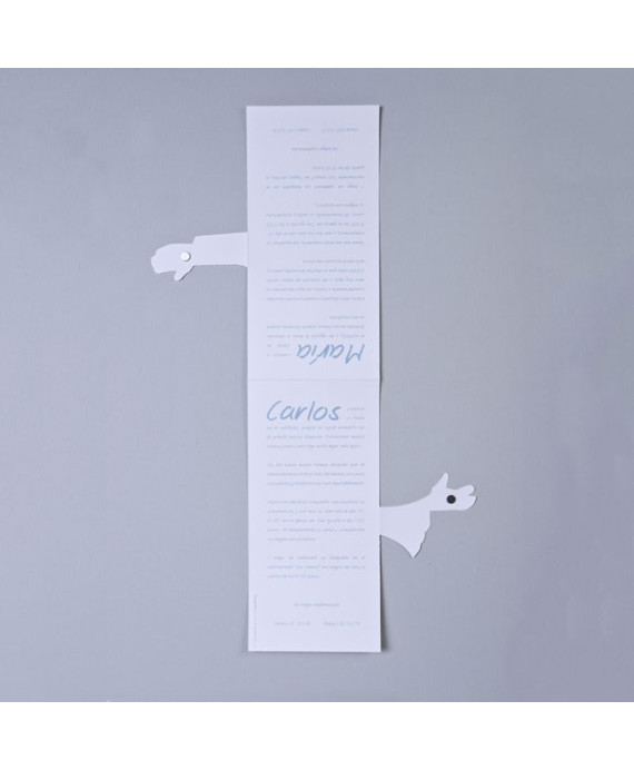 Invitación de boda novia y novio